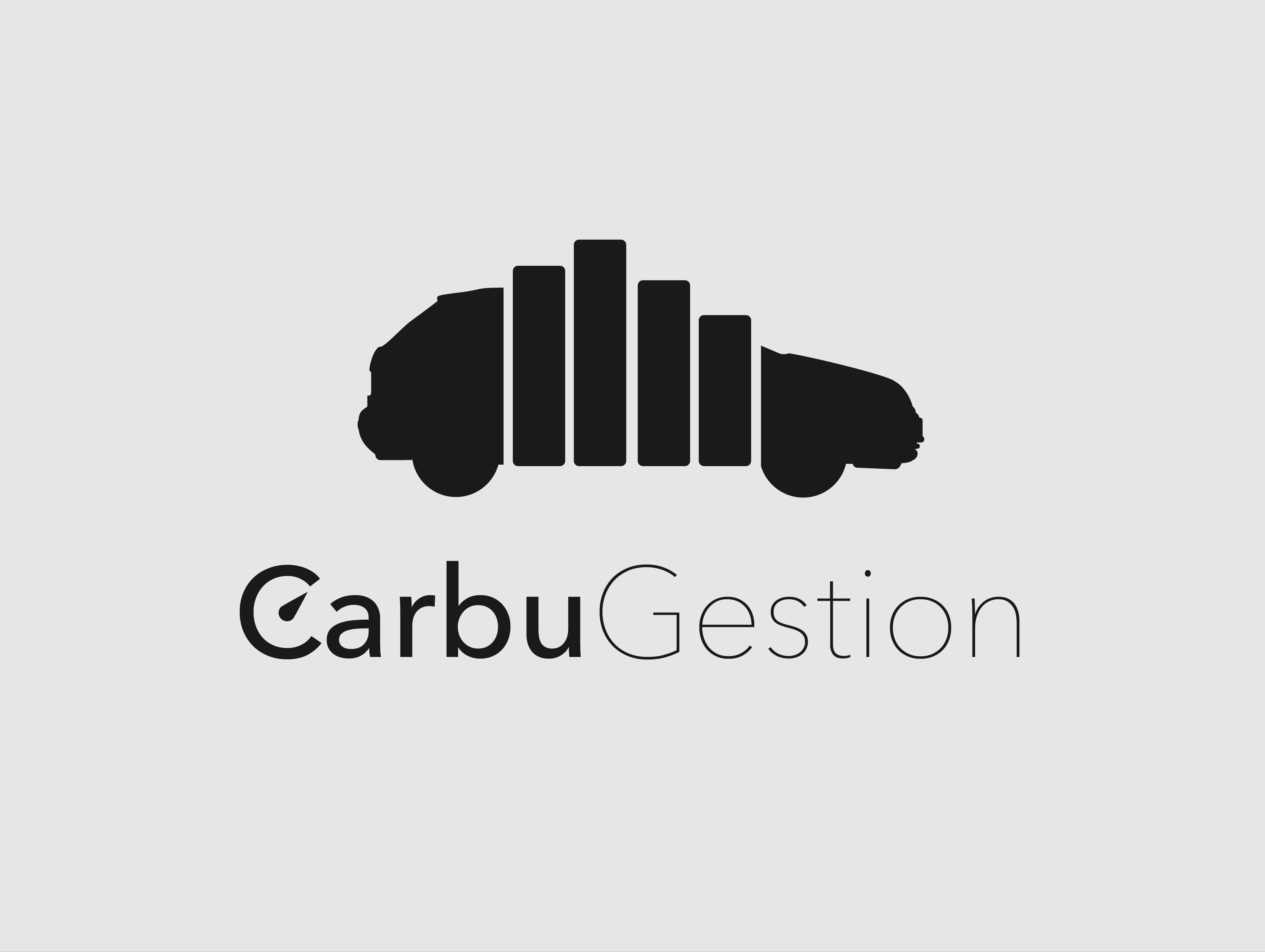 Logo blanc CarbuGestion